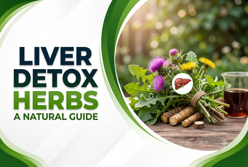 Liver Detox Herbs: Ayurvedic Herbs Traditionally Used for Liver Support