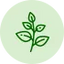 Natural Herbs